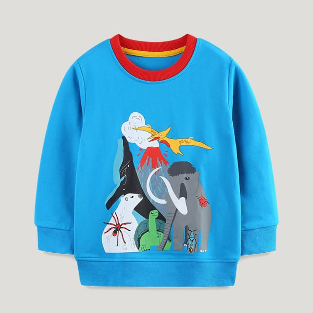 Blue Printed Kids Sweatshirt Autumn Cotton Boys Top Blue Printed Kids Sweatshirt Autumn Cotton Boys Top | Trendy Kids Clothing Pakistan | Maria Finds Store