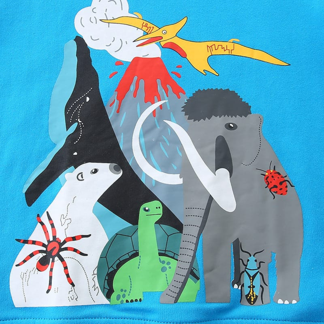 Blue Printed Kids Sweatshirt Autumn Cotton Boys Top Blue Printed Kids Sweatshirt Autumn Cotton Boys Top | Trendy Kids Clothing Pakistan | Maria Finds Store