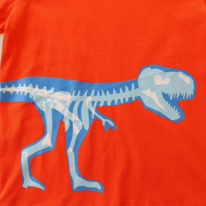 Kids Boys Red Dinosaur Long Sleeve Cotton T-Shirt Autumn | Trendy Baby Boys Clothing Pakistan | Premium Kids Wear | Maria Finds Store